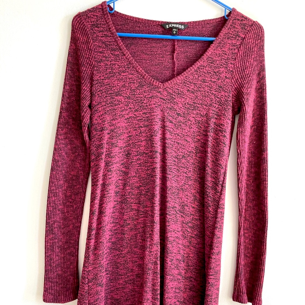 Express sweater dress
